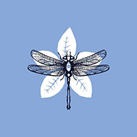 See all the gift ideas from this partner